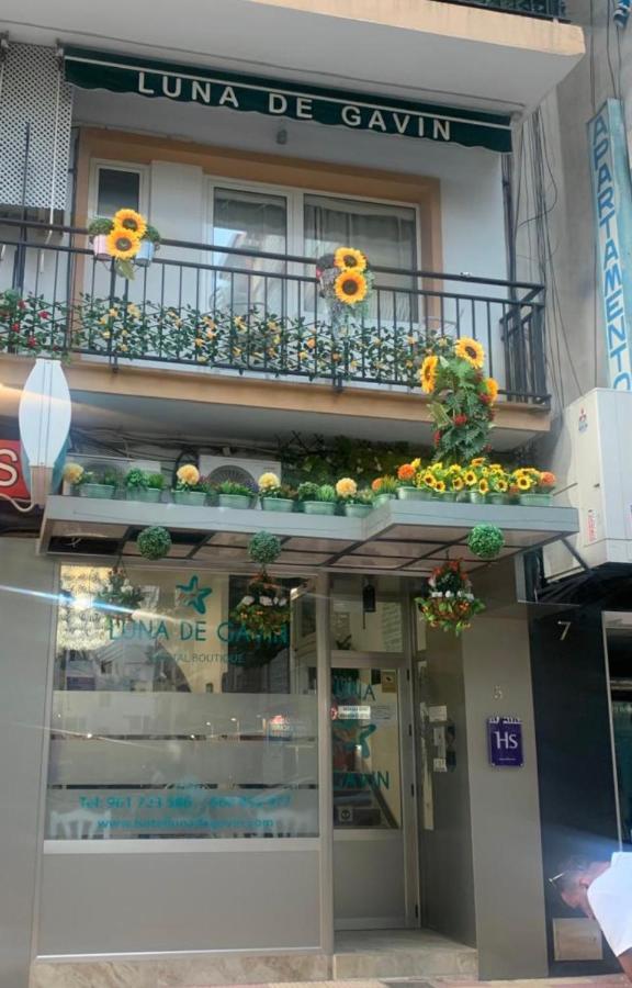 Hostal Boutique Luna De Gavin Cullera Kültér fotó