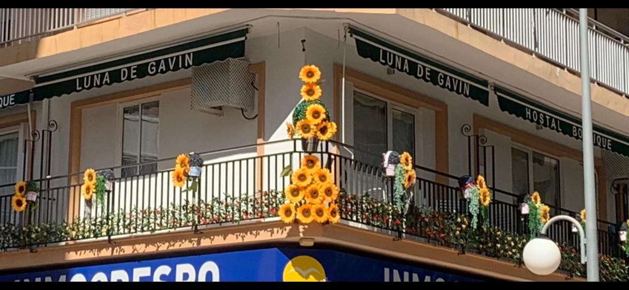 Hostal Boutique Luna De Gavin Cullera Kültér fotó