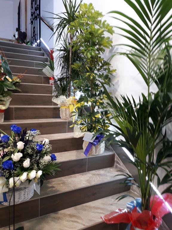 Hostal Boutique Luna De Gavin Cullera Kültér fotó